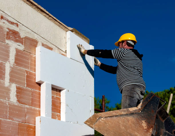 Best Local Insulation Services  in USA